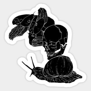 Snails Sticker